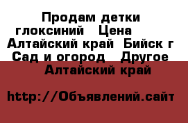 Продам детки глоксиний › Цена ­ 50 - Алтайский край, Бийск г. Сад и огород » Другое   . Алтайский край